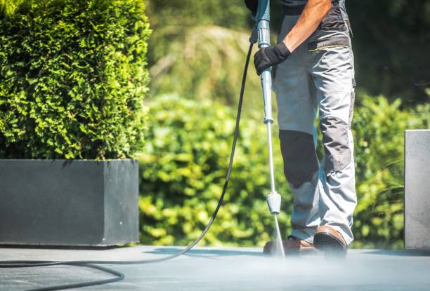 Best Graffiti Removal  in Mount Pulaski, IL