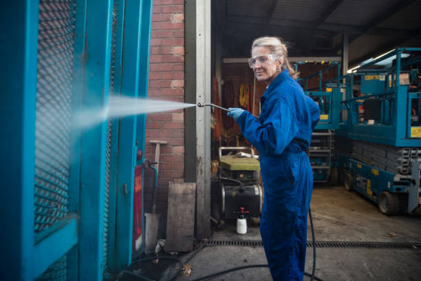 Best Pre-Holiday Cleaning  in Mount Pulaski, IL