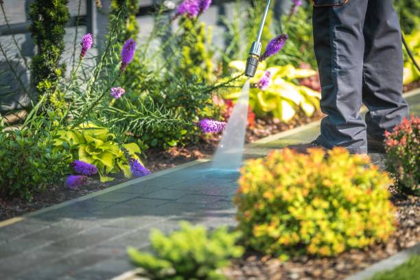 Best Gutter Cleaning  in Mount Pulaski, IL