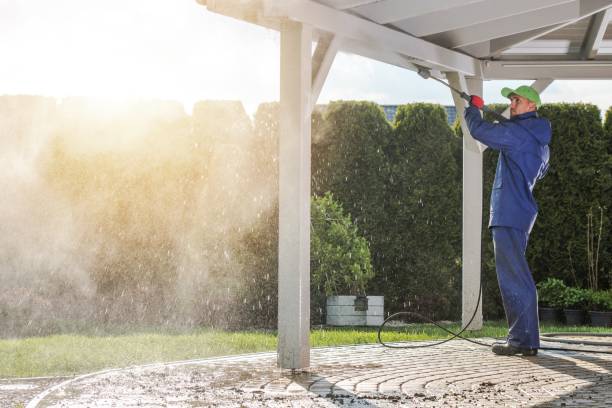 Best Soft Washing  in Mount Pulaski, IL