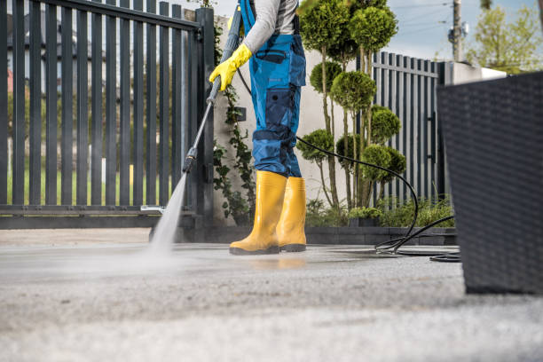 Best Animal Enclosure Cleaning  in Mount Pulaski, IL
