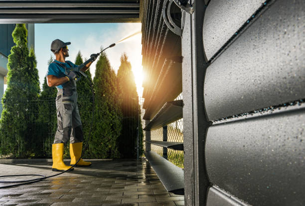 Best House Exterior Washing  in Mount Pulaski, IL