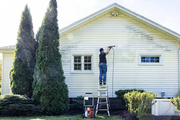 Professional Pressure Washing Services in Mount Pulaski, IL